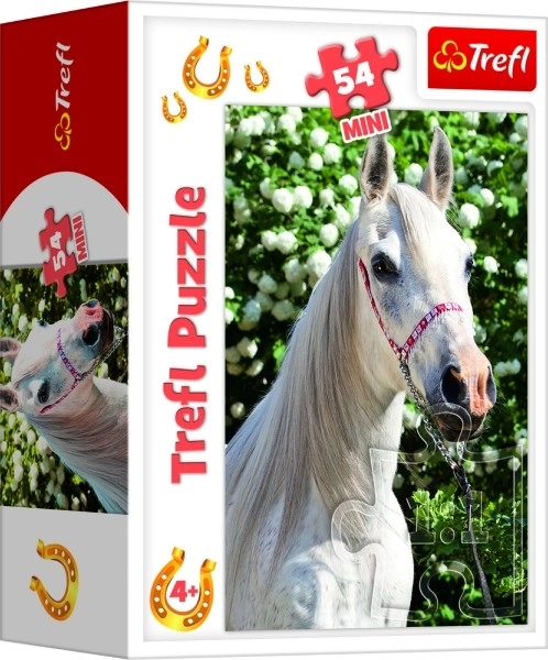 Minipuzzle 54 pièces Chevaux 4 types dans une boîte 9x6,5x4cm