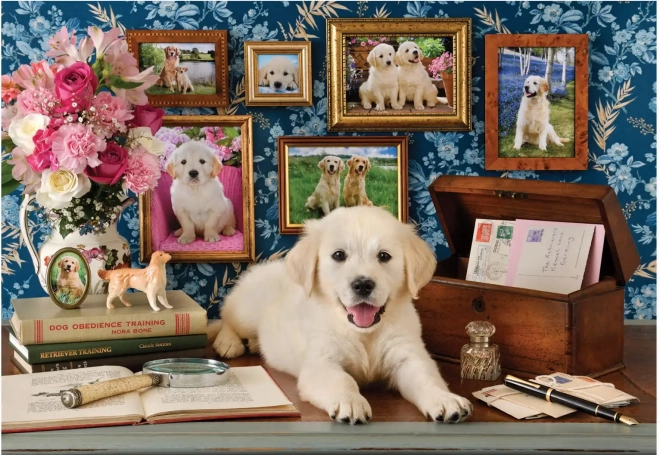 Puzzle Labrador 500 pièces
