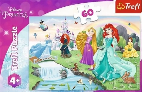 Puzzle Découvrez les princesses 33x22cm 60 pièces dans une boîte 21x14x4cm