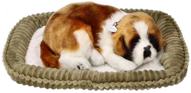 Chiot saint-bernard en peluche respirant