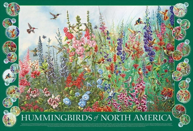 Puzzle Colibris d'Amérique du Nord 2000 pièces de Cobble Hill