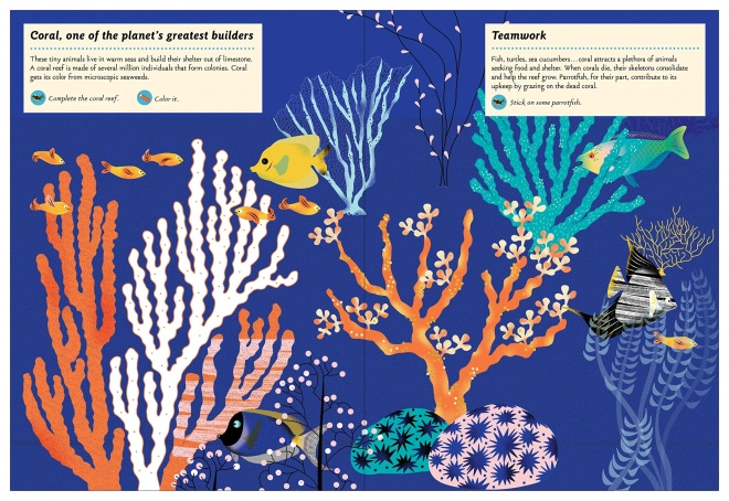 Livre d'activités créatif avec autocollants - Animaux ingénieux