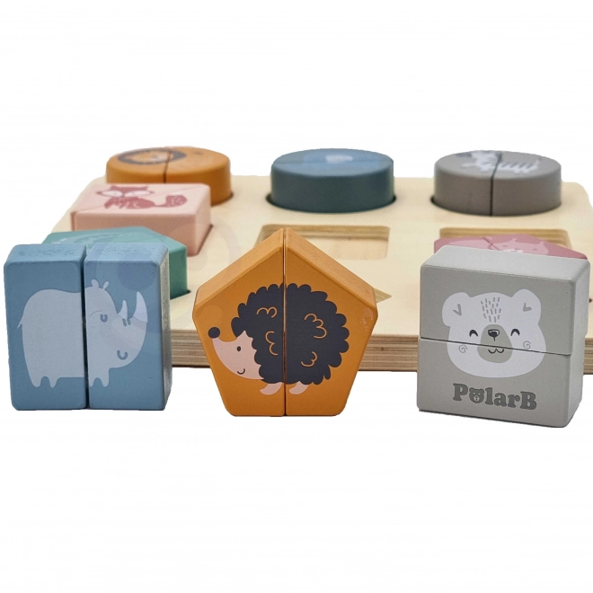 Puzzle de formes PolarB