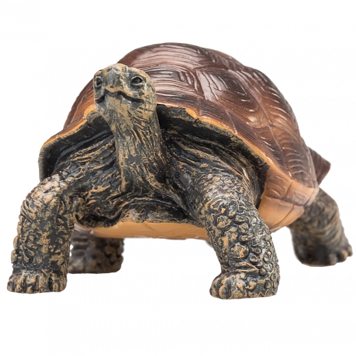Figurine Mojo tortue géante – figurine animale réaliste