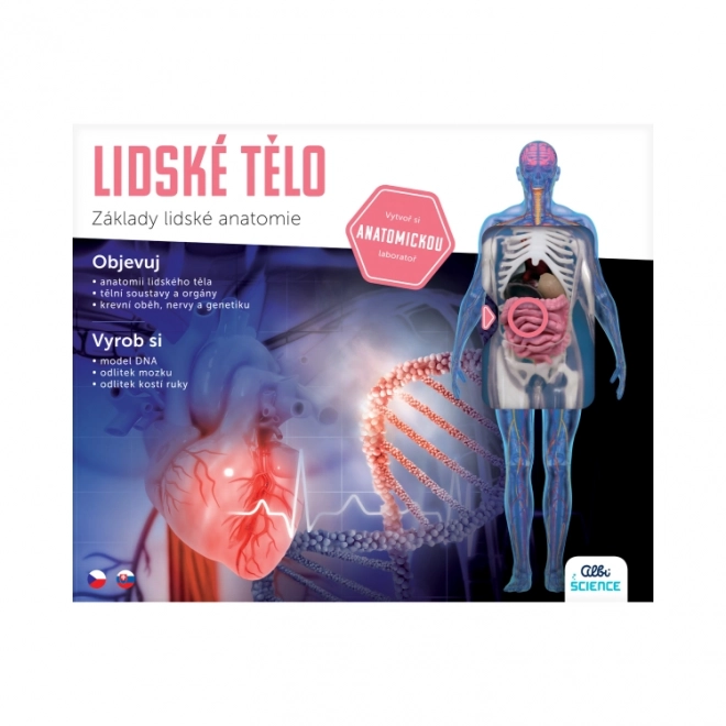 Guide de l'anatomie pour les enfants