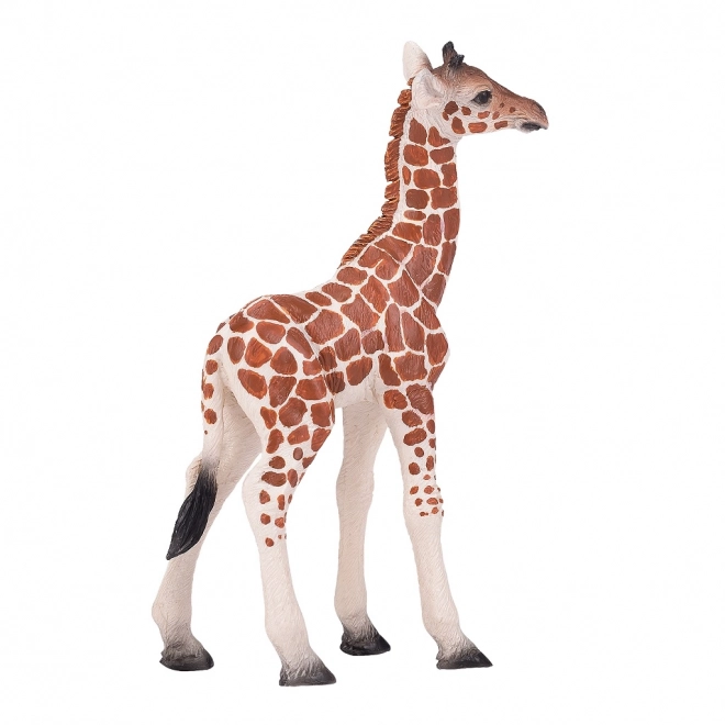 Mojo girafeau