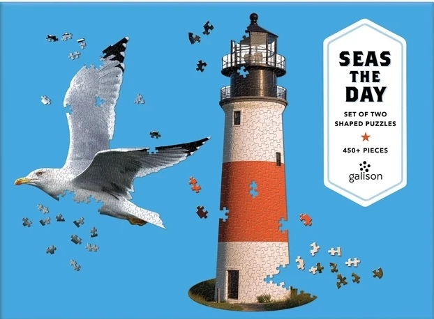 GALISON puzzle de forme jour à la mer 2-en-1 – 450 pièces