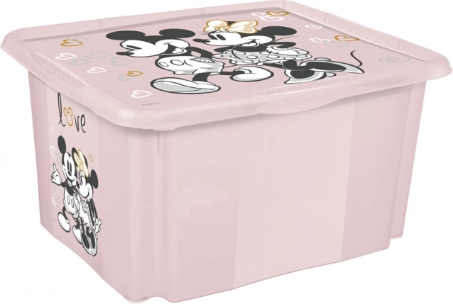 Boîte de rangement Minnie Petite Rose