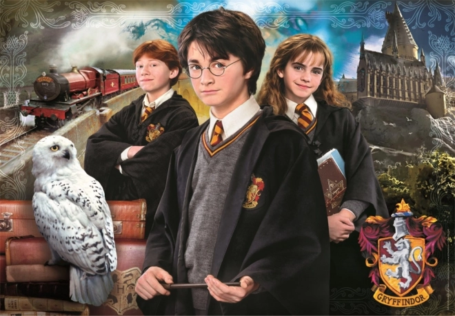 Puzzle 1000 pièces Harry Potter de Clementoni