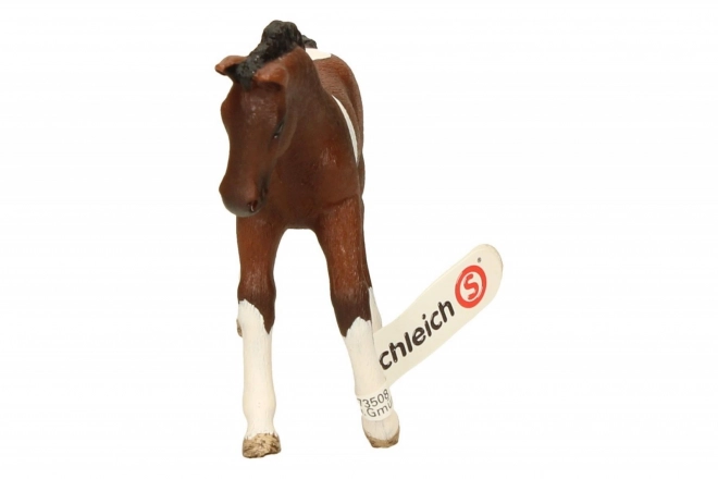 SCHLEICH Horse Club® 13758 Cheval de Trakehner - poulain