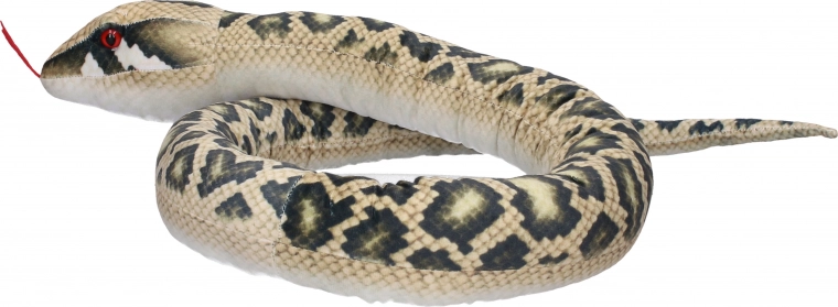 Des détails réalistes qui attirent le regard