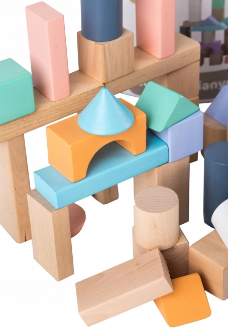 Blocs en bois 100 pcs dans un seau avec trieur Ecotoys