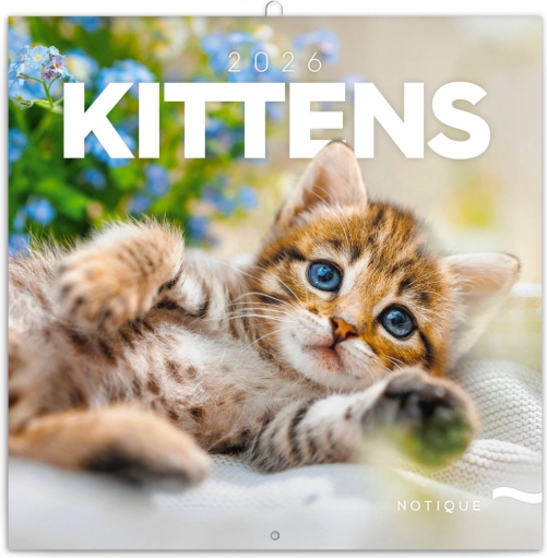 Calendrier de notes Chatons 2026