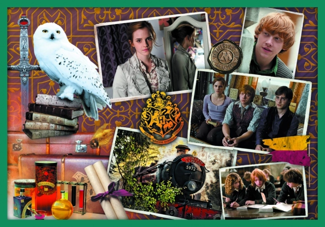 Puzzle Harry Potter - Dans le monde d'Harry Potter 10 en 1