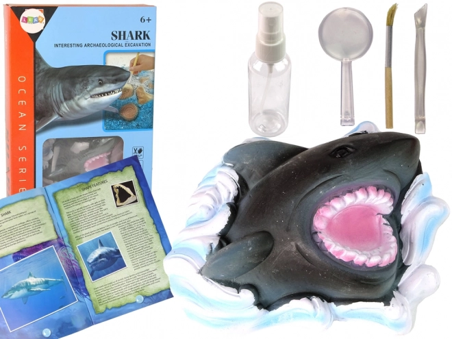 Kit éducatif Exploration des océans - Requin et trilobites