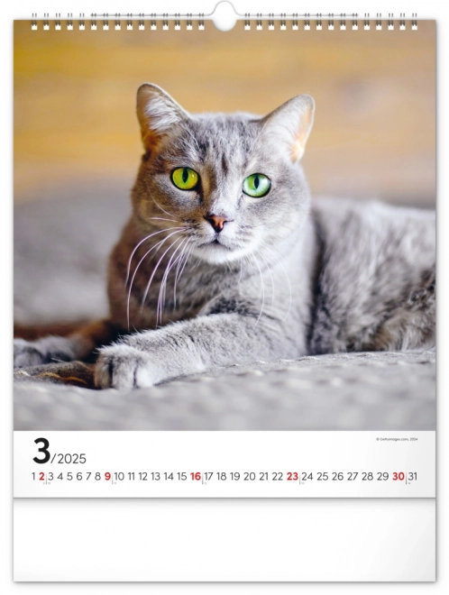 Calendrier mural Chats 2025, 30 × 34 cm