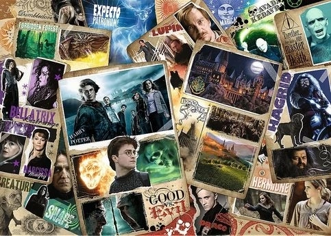 Puzzle 2000 pièces Harry Potter Héros