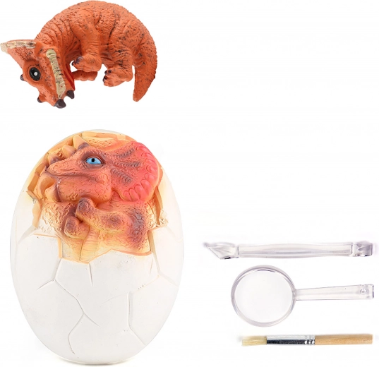 Tout le nécessaire pour de petits paléontologues