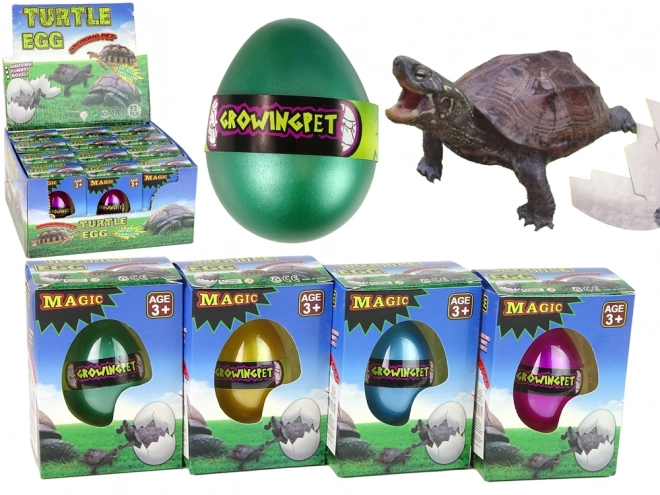 Œuf magique avec tortue qui grandit 6 cm