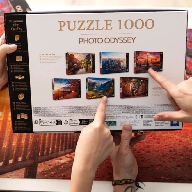 TREFL Puzzle Premium Plus Photo Odyssey: Château de Neuschwanstein 1000 pièces