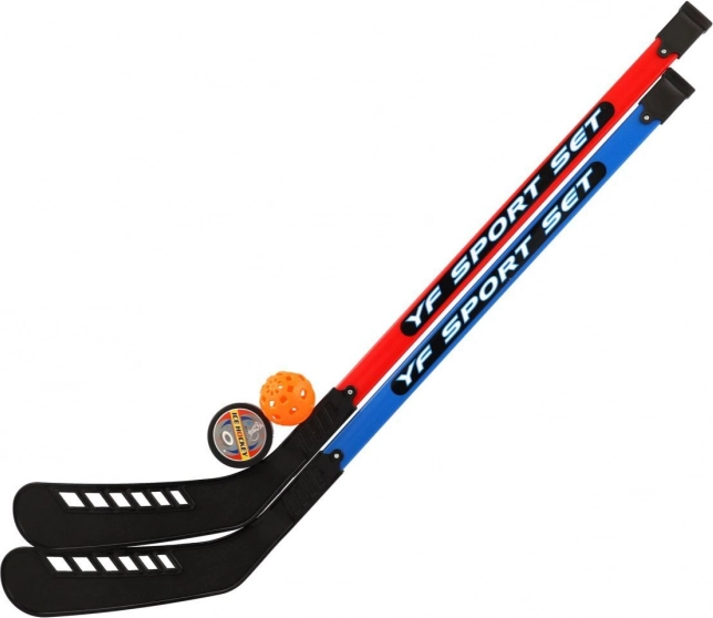Ensemble de crosses de hockey sur gazon avec balle de floorball et palet