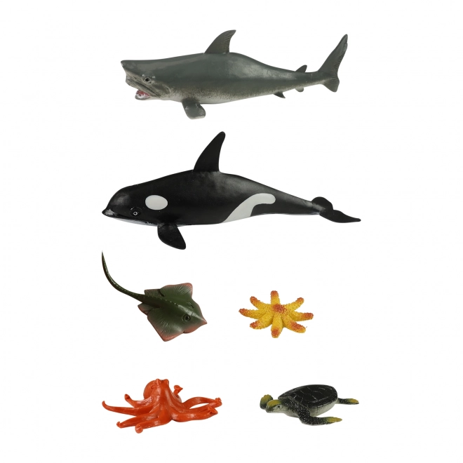 Ensemble d'animaux marins en boîte