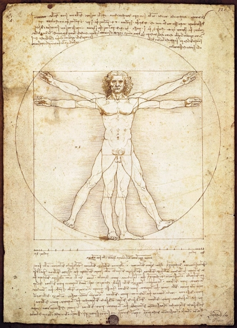 Puzzle EUROGRAPHICS Homme de Vitruve - proportions du corps humain 1000 pièces