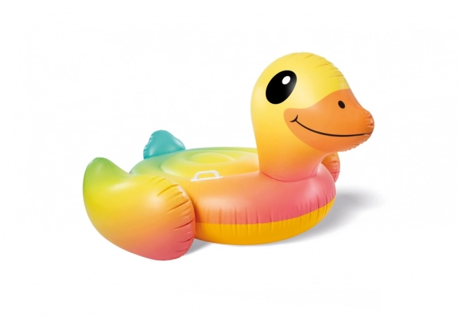 Embarcation gonflable Canard