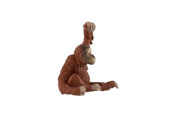 Orang-outan de Sumatra plastique zooted 8cm en sachet