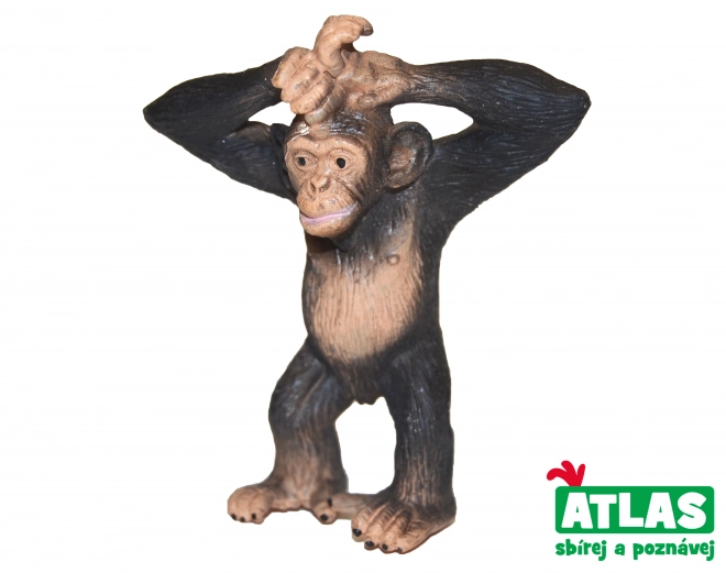 A - Chimpanzé 6 cm