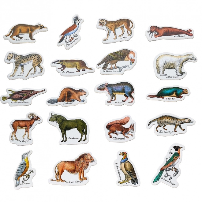 Vilac Magnets zoo de Buffon