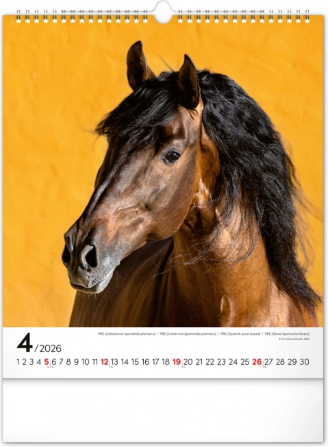 Calendrier mural Chevaux 2026