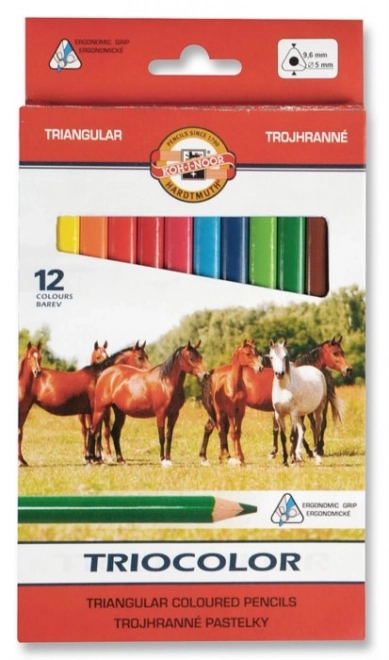 KOH-I-NOOR Crayons triangulaires Triocolor 12pcs