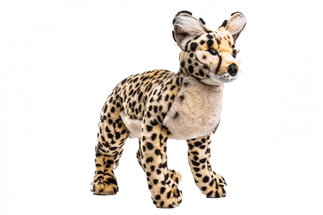Chat en peluche de savane 50 cm