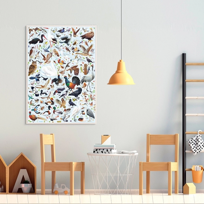 Puzzle Puzzlove Oiseaux 200 pièces