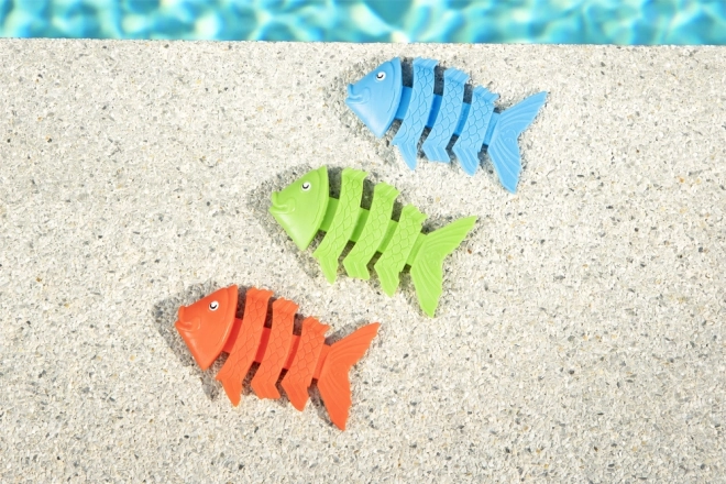 Poissons plongeurs amusants