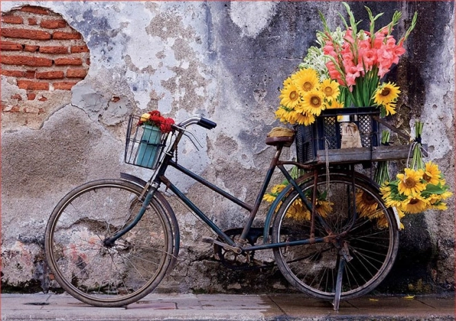 Educa puzzle vélo avec des fleurs 500 pièces