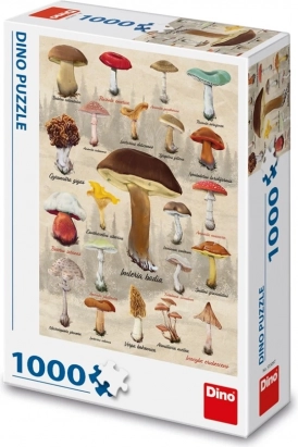 puzzle dino champignons collage 1000 pièces