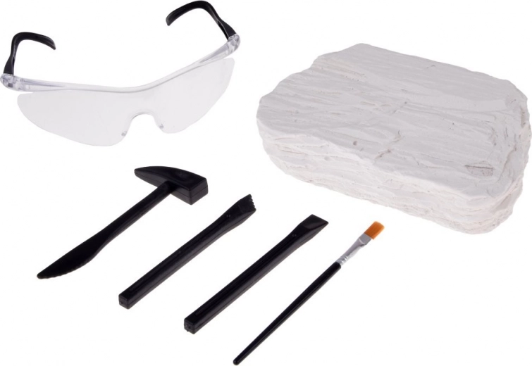 Fouille sûre et amusante