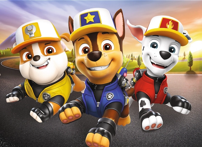 Puzzle Pat'Patrouille miniMAXI 20 pièces