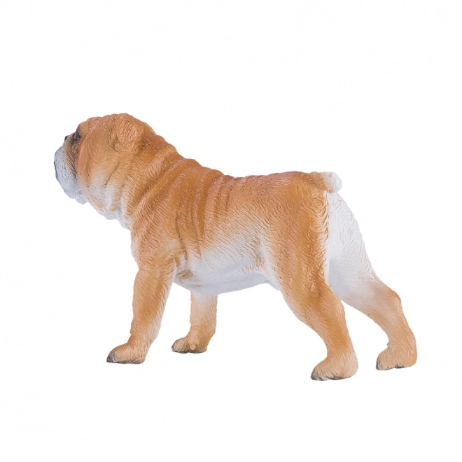 Mojo Bulldog Anglais