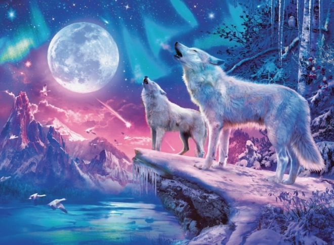 Puzzle Ravensburger lumière polaire 1000 pièces