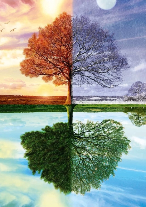 Puzzle Arbre des Quatre Saisons 500 pièces