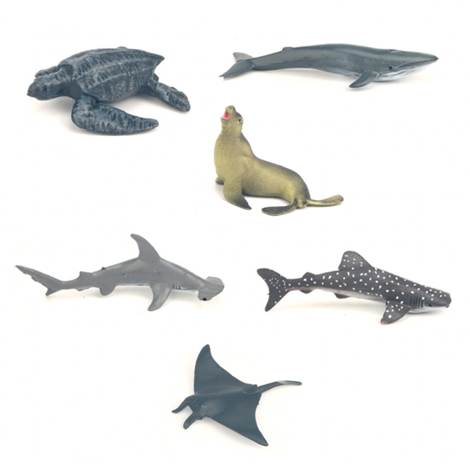 Ensemble d'animaux marins en boîte 6 pcs
