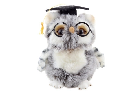 Chouette en peluche diplômée