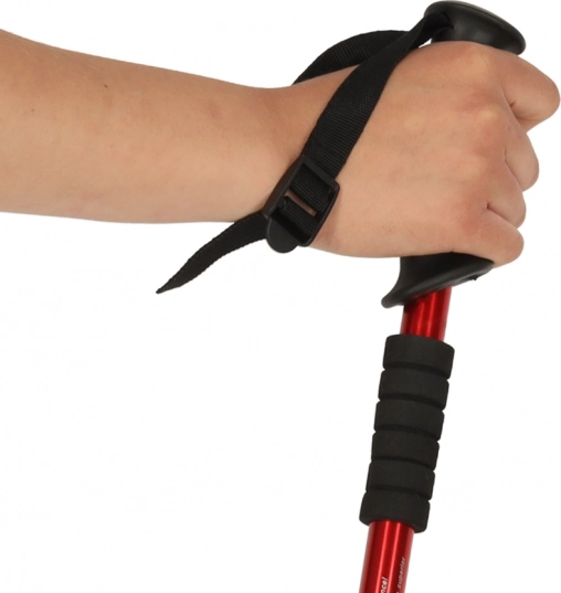 Bâtons de randonnée pliables pour Nordic Walking 2 pièces rouges