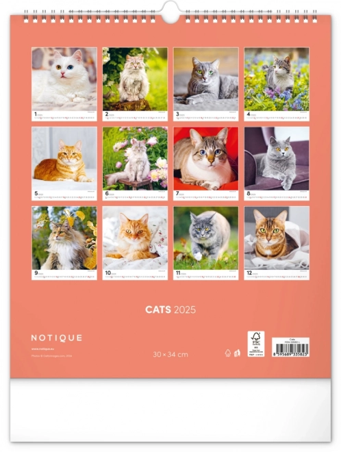 Calendrier mural Chats 2025, 30 × 34 cm