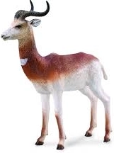 Collecta albatros hurleur – figurine réaliste