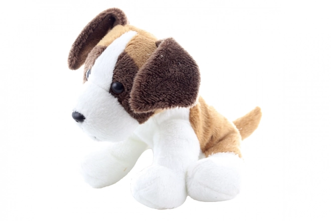 Chien en peluche Saint-Bernard
