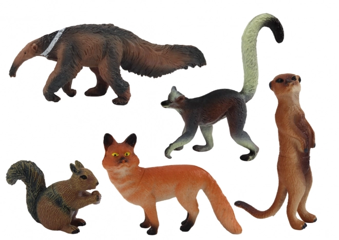 Figurines d'Animaux 5 Pièces: Écureuil, Suricate, Tamandua, Renard, Lémurien